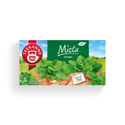 Mięta