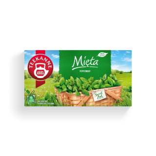Mięta